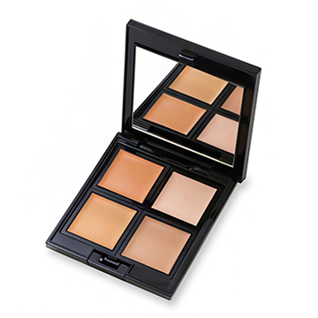 ADDICTION (アディクション) スキンリフレクト フレッシュ コンシーラー 5g 